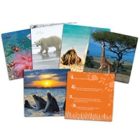 Learning Resources Wild About Animals Snapshots - Critical Thinking Photo Cards Photo