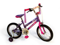 Peerless Girls 16" Bike with Training Wheels - Purple and Pink Photo