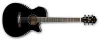 Ibanez AEG8E BK Acoustic Guitar Photo