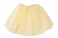 Long Fluffy Tulle Tutu Skirt in Color Ivory Photo