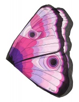 Dreamy Dress Ups Wings - Pink Butterfly Photo