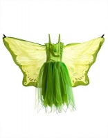 Dreamy Dress Ups Dress with Wing - Green Fairy Photo