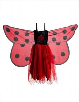 Dreamy Dress Ups Dress with Wing - Ladybird Photo