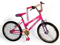 Peerless Girls 20" Flower Power BMX Bike - Pink Photo