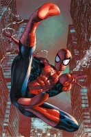 Marvel Spider-Man Web Sling Poster Photo