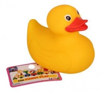 Bulk Pack 5 X Vinyl Bath Duck Photo