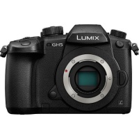 Panasonic Lumix DC-GH5 Mirrorless Micro Four Thirds Digital Camera Photo