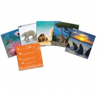 Learning Resources Wild about Animals Snapshots - Critical Thinking Photo Cards Photo