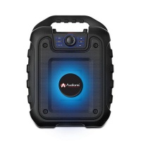 Audionic REX-12 Portable Speaker Set Photo