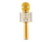 Everlotus Wireless Karaoke Microphone - Gold Photo