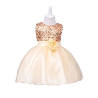 Snow White Sequin & Sparkle Flowergirl Dress - Champagne Photo