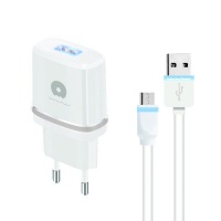 Young Pioneer YP Micro USB Travel Adaptor - Silver Photo