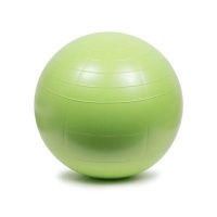 Medalist Anti-Burst Gym Balls - 65cm Photo