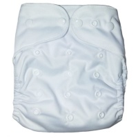 Fancypants All-In-One Cloth Nappy - Coconut Photo