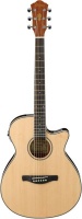Ibanez AEG8E-NT Acoustic/Electric Guitar Photo