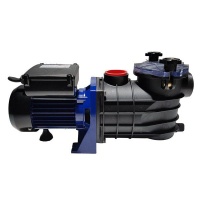 HPP600 Pool Pump 600W 220V Photo