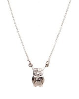 Pretty Silver Owl Necklace Photo
