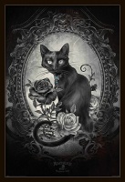Alchemy Paracelcus Cat Poster with Black Frame Photo