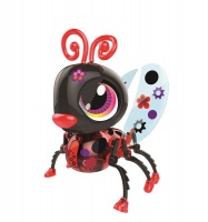 Build A Bot - Ladybird Photo