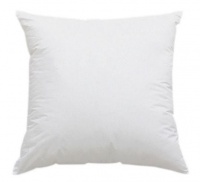Iconix Scatter Cushion Inner - White Photo