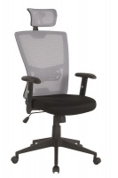 Infinity Homeware Cambridge Ergonomic Office Chair - Black & Grey Photo