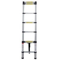 Maxi Telescopic Straight Ladder - 2.6m Photo