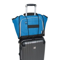 Suitcase Bag Bungee Photo