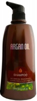 Moroccan Argan Oil Shampoo - Salon Professional 750ml - Sulfate-free Photo