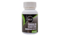 Tribulus Terrestris Testosterone Booster 60 Capsules Photo