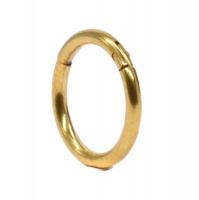 Steel My Heart Hinged Segment Hoop Ring - Gold 10mm Photo
