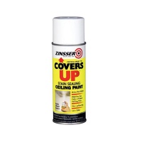 Rust-Oleum Zinsser Cover Up Spray Photo
