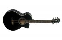 Washburn EA10B Acoustic Electric Petite Jumbo Guitar with EQ/Tuner Photo