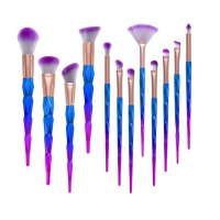 Eye Shadow Brush Set - 12 Piece Photo