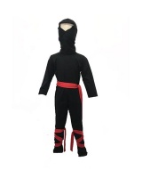 Ninja Suit with Red Ties Photo