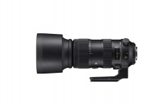 Sigma 60-600mm f/4.5-6.3 DG OS HSM Sports Lens for Nikon F Photo