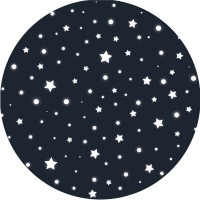Waltex Kiddies Starry Night Round Rug Photo
