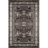 Waltex Area Rug Persian Charcoal Photo