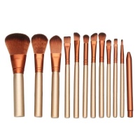 12 piecess Foundation Makeup Brushes Set-Champagne Photo