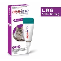Bravecto Tick & Flea Spot On for Cats - Large Photo