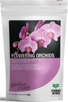 Flowering Orchids Photo