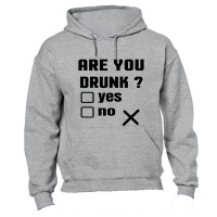 Are you Drunk? - Hoodie - Grey Photo