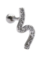 Androgyny Steel Cubic Squiggle Cartilage Stud Piercing Photo