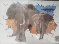 3D Wall/Floor Sticker - Elephants Photo
