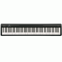 Roland FP-10 Digital Piano Black Finish Photo