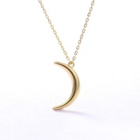 CRCS Stainless Steel Dold Plated Moon Charm Necklace Photo