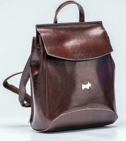 Cali Leather Back Pack Which Also Converts Into A Sling Bag Photo