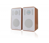 Dual Bookshelf Bluetooth Speakers Photo