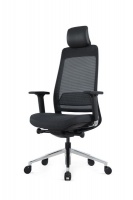 Ergo Exec Ergonomic chair with headrest Photo