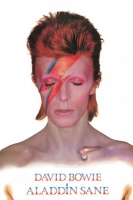 David Bowie - Aladdin Sane Poster Photo