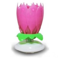14 stick rotating musical lotus flower Birthday candle Photo